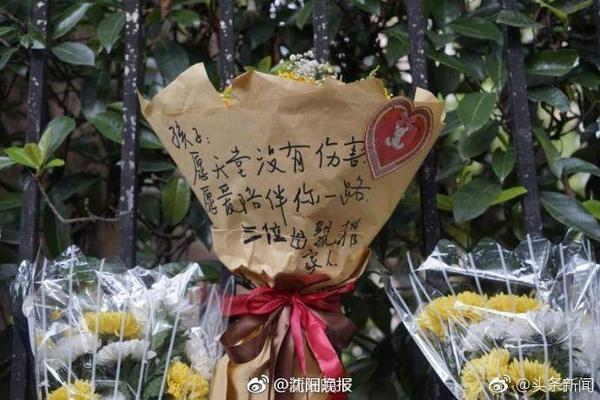 记者：若特狮只伤缺3个月，巴萨无法启用伤病条款注册其他球员